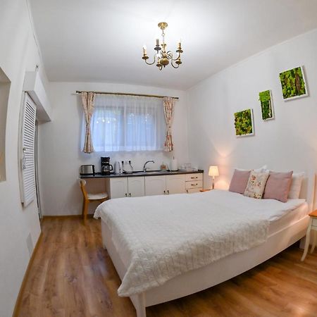 Transilvania Apartment Sibiu Ngoại thất bức ảnh