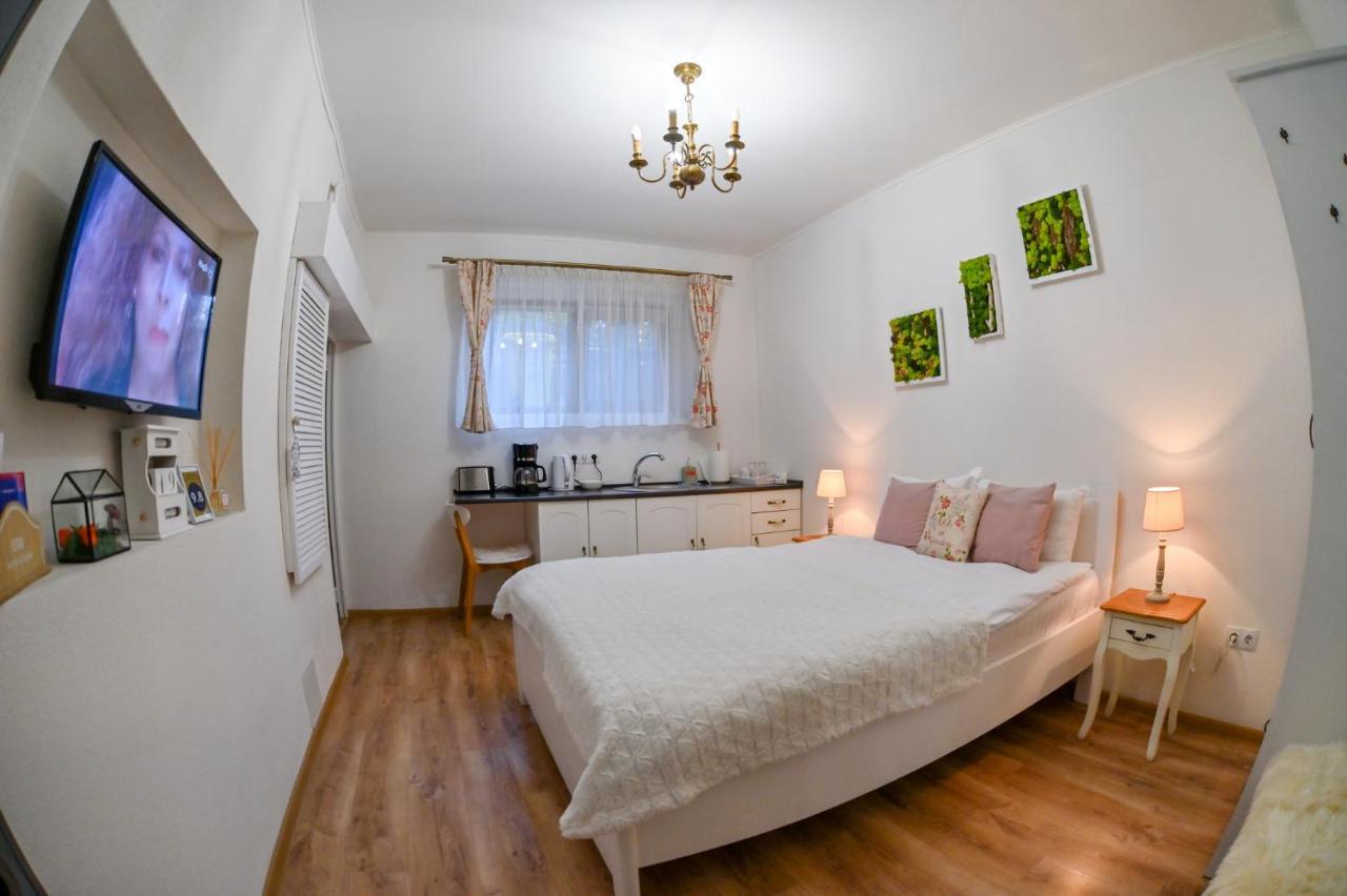 Transilvania Apartment Sibiu Ngoại thất bức ảnh